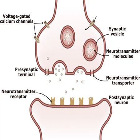 Disodium uridine 5'-phosphate qw