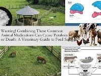 Avertizare! Combinarea acestor medicamente comune pentru animale poate provoc...