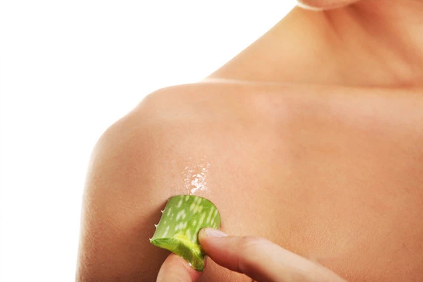 Aloe Vera Leaf Extract-1