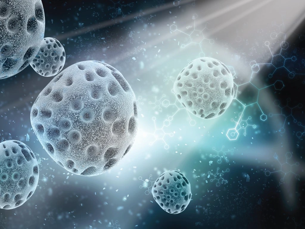 Antibiotics destroy bacteria
